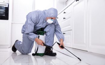 Pest Control Inspection